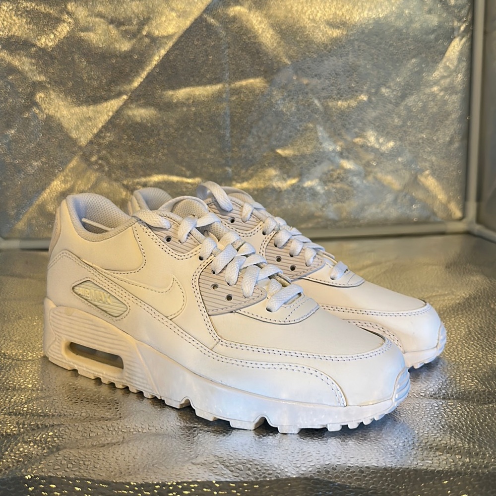 Nike Air Max 90 LTR (GS)